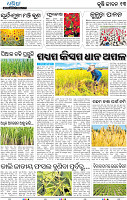 15_BBSR
