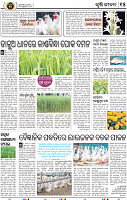 19_BBSR