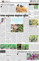 15_BBSR