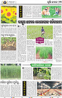 13_BBSR