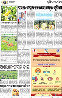 15_BBSR