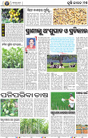 15_BBSR