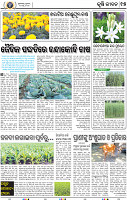 15_BBSR