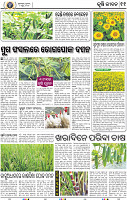 13_BBSR