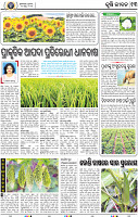13_BBSR