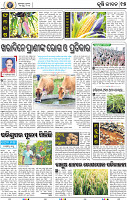 15_BBSR