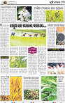 15_BBSR