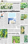 15_BBSR