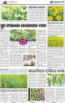 13_BBSR