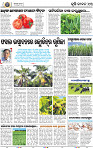 13_BBSR